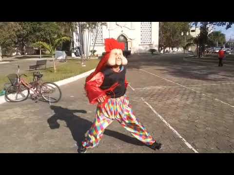 Vou Te Bota,te bota,te bota (Fofão dançando - passinho Malado de Bh)