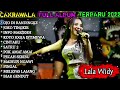 Cakrawala FULL ALBUM TERBARU 2023 DIFARINA INDRA LALA WIDI Dangdut Koplo Terbaru 2023