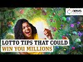 Lotto Tips And Tricks That Could Win You Millions