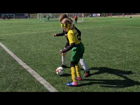 OHF turkoosi - HauPa T1415