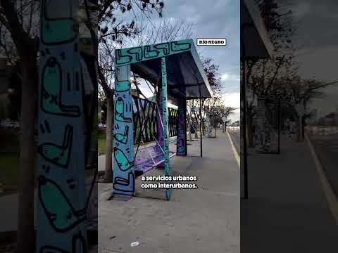 🚌❌ Paro de colectivos en Neuquén y Río Negro el impacto en la calle