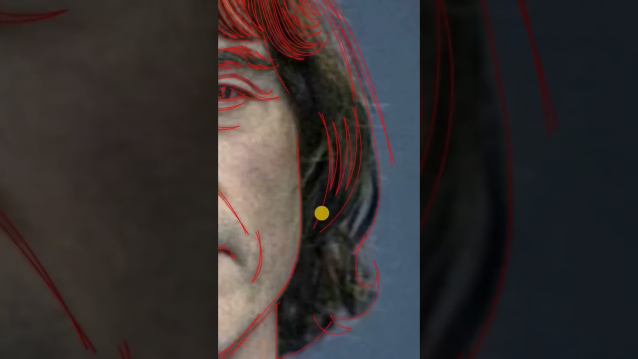 Vector portrait illustration | #short #illustrator #vectorart