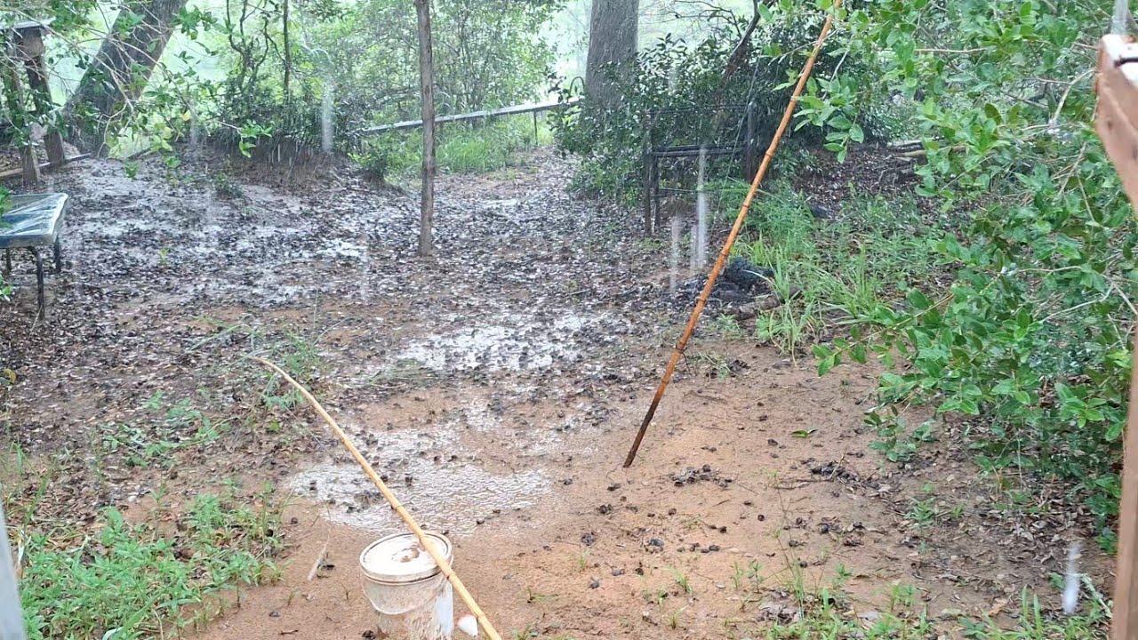 PESCARIA no meio do #MATAGAL DE PIAU VEJAM COMO É A NATUREZA ABENÇOADA!!!