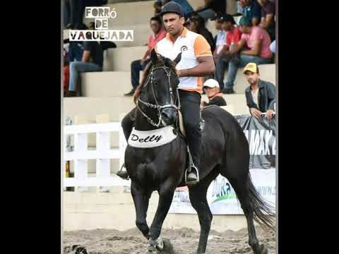 Edson Vieira  - Largar a Faculdade (Forró De Vaquejada)