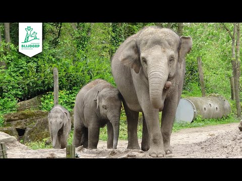 Diergaarde Blijdorp 2023