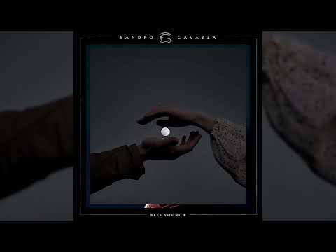 Petey Martin & Sandro Cavazza - Need You Now [Unreleased]