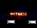MSI- Witness 
