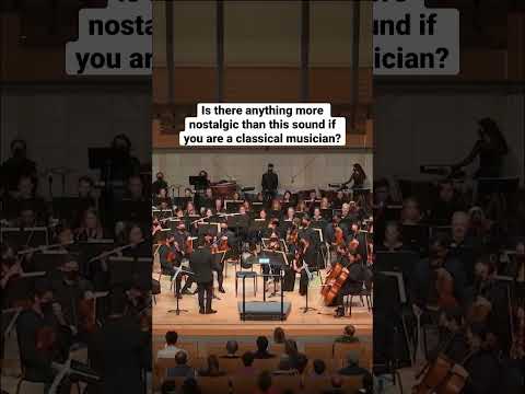 🎶 It brings you back in an instant #orchestra #classicalmusic