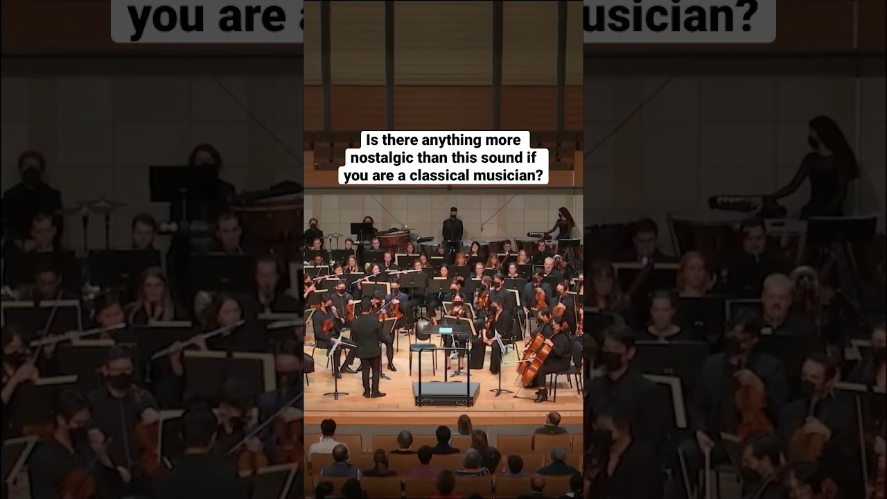 🎶 It brings you back in an instant #orchestra #classicalmusic