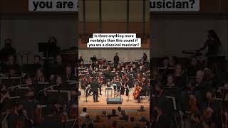 🎶 It brings you back in an instant #orchestra #classicalmusic