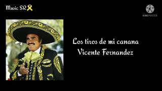 Los tiros de mi canana - Vicente Fernandez (Letra)