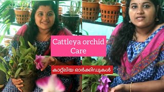 #Cattleya Orchid Care ! How To Grow Cattleya Orchids ! കാറ്റ്ലിയ ഓർക്കിഡുകൾ വളർത്തുന്ന വിധം.