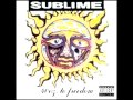 We're Only Gonna Die For Our Arrogance - Sublime