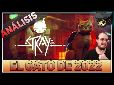 ANÁLISIS: STRAY -UNA HISTORIA CYBERCAT- IMPRESCINDIBLE