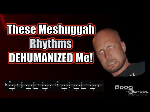 These Meshuggah Rhythms DEHUMANIZED Me!!