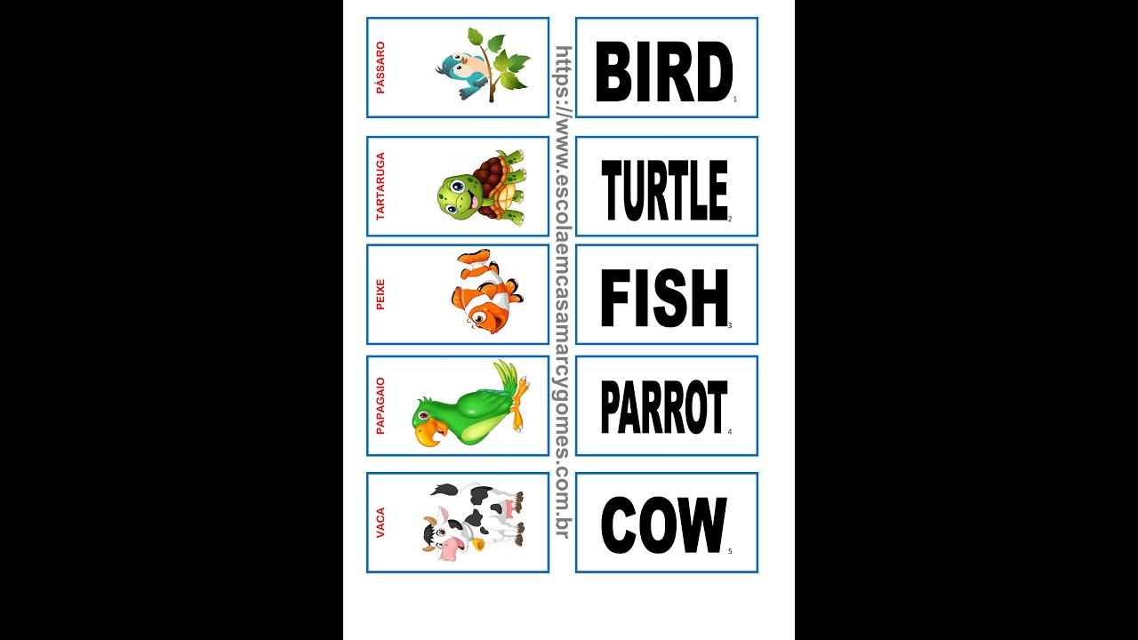30 Flash Cards - ANIMAIS - INGLÊS - COLORIDO - PDF #Shorts