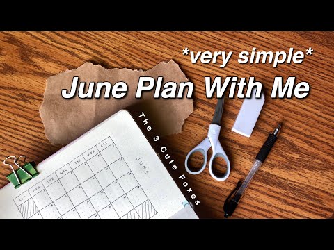 June 2020 *very simple/minimalistic* | plan with me