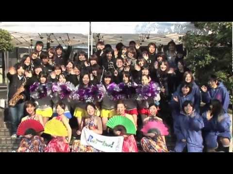 京都マラソンへの本学学生ボランティアの参加
