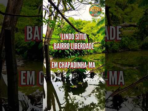 #LINDO SÍTIO BAIRRO LIBERDADE EM CHAPADINHA-MA.
