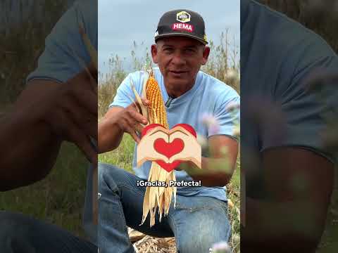 🚜💡 Imagina preparar tu terreno con nivelación láser 👀