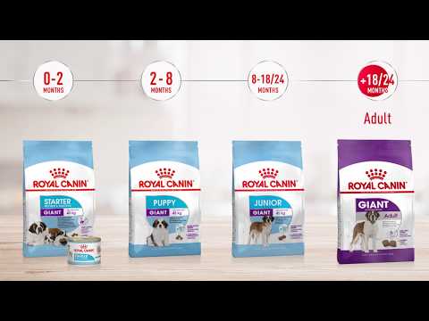 Royal Canin Giant Starter 1kg