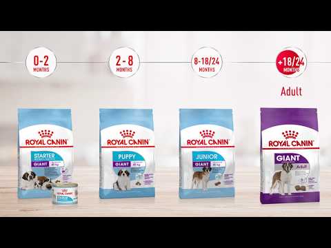 Royal canin giant starter 1kg