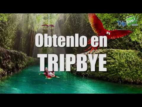 download lagu mp3 mp4 Tripbye, download lagu Tripbye gratis, unduh video klip Tripbye