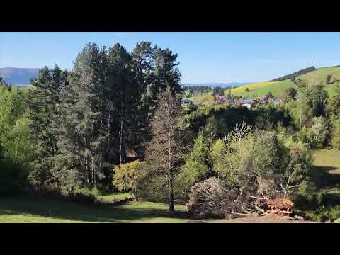 14 GULL STREET, Waihola, Clutha, 0房, 0浴, Section