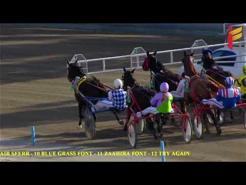 I Corsa del 17 dicembre 2022 - Premio Stelle di Natale - Metri 1600