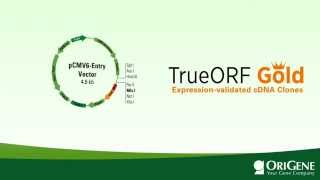 TrueORF GOLD: the only expression-validated cDNA clones