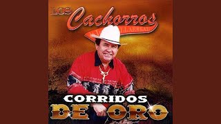 El Contrabando De Juarez