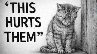 Cat Psychology | 14 Everyday Things That Can Hurt Your Cat’s Feelings