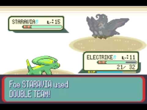 Pokemon Ruby Destiny Reign of Legends:VS 1st Gym Leader