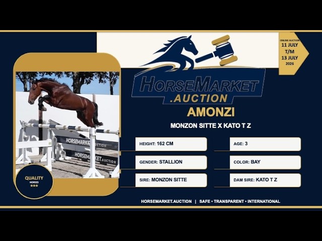 Amonzi