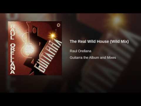 The Real Wild House (Wild Mix)
