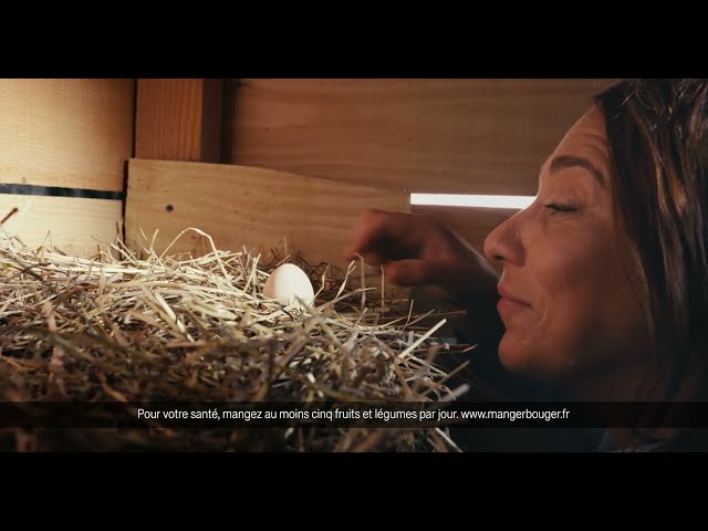 Les Comptoirs de la Bio propose des produits bio et locaux !