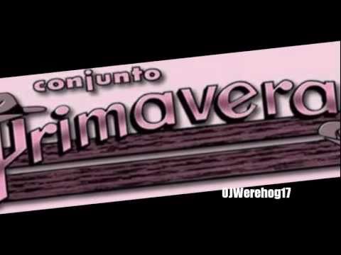 DJ OJ: Chihuahua Mix 4 - Conjunto Primavera
