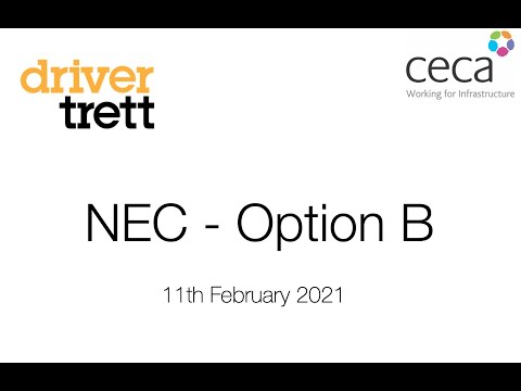 NEC - Option B Valuing Change - 11th February 2021