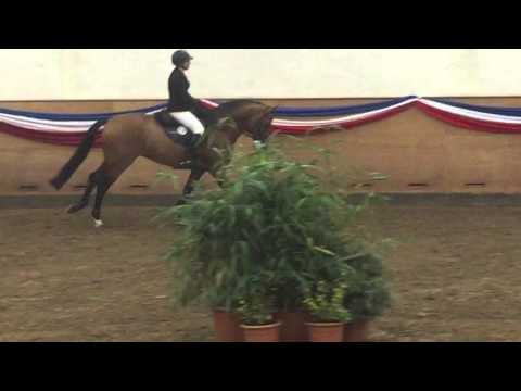 Quiwi Dream in Elmshorn feb'16