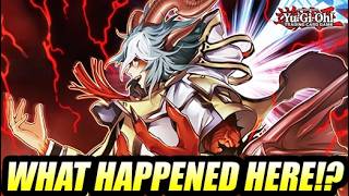 What In The Madness Happened Here!?