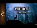 Wolf Forest | ASMR Ambience | 1 Hour #DnD #RPG