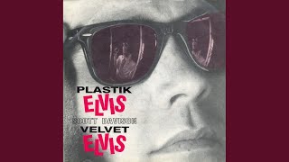 Velvet Elvis