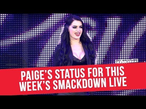 Fight Size Update: Identity Of Authors Of Pain Opponents, New Titus O’Neil Shirt, Nia Jax’s Side Plates