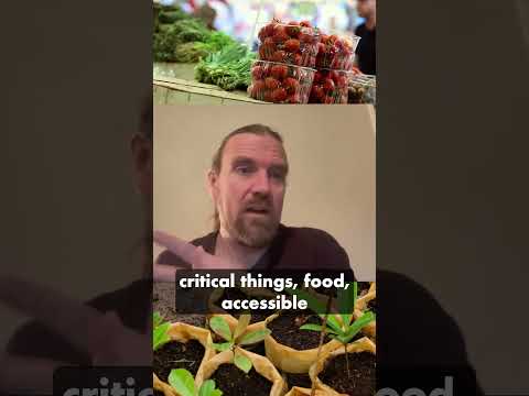 Plant Nursery: Permaculture's Top Profit "Money Machine