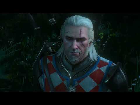 The Witcher 3 Wild Hunt pt 143 A Caged Bird