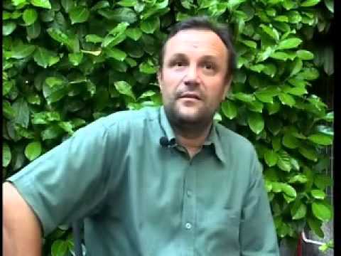 Mate Matisic hrvatski identitet