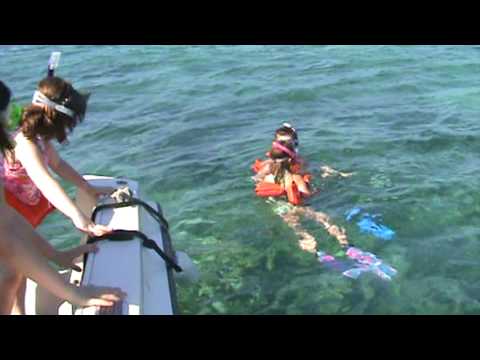 Snorkeling is a Scream