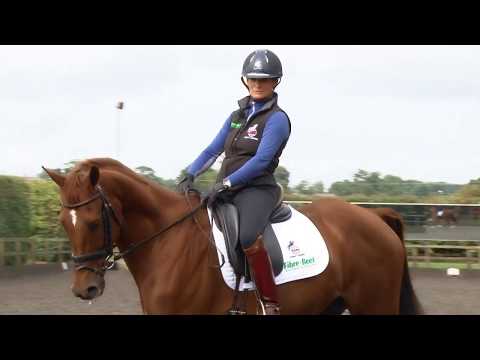 Training the Young Horse for Eventing - Balance and Rhythm