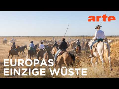 Wildes Andalusien | Abenteuer Spanien Reupload | ARTE Fernweh
