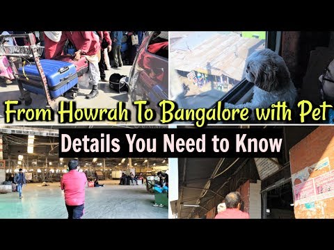 Travelling From Howrah With Pet In Indian Railways | Detailed Info Travelling With Pet From Howrah